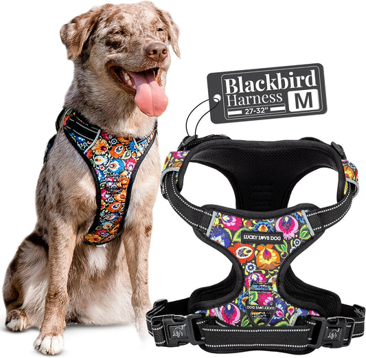 Lucky Love Dog No Pull Harness for Comfortable Dog Walking