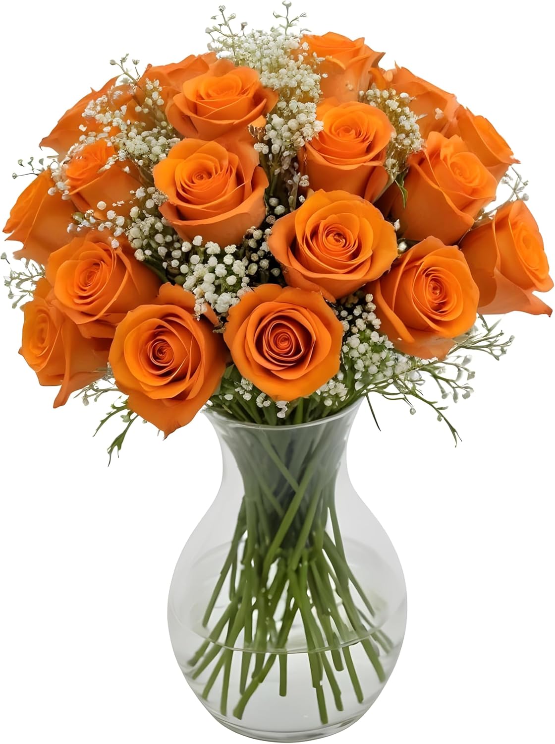 18 Orange Roses and Baby's Breath in Glass Vase for Delivery