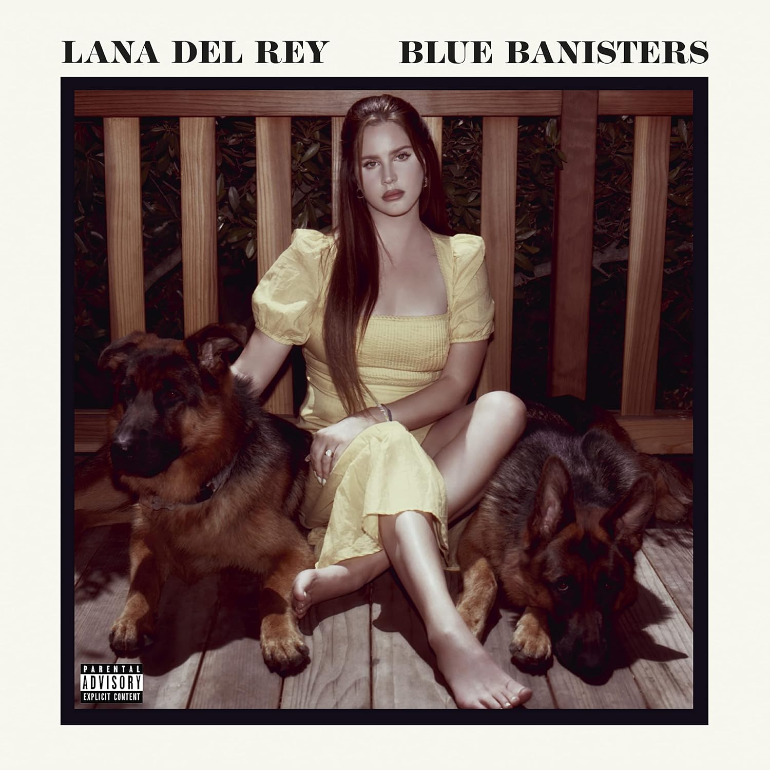 Blue Banisters by Lana Del Rey - A Deeply Emotional Journey