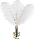 White Ostrich Feathers 12pcs 20-22in Natural Bulk - Soft Wedding