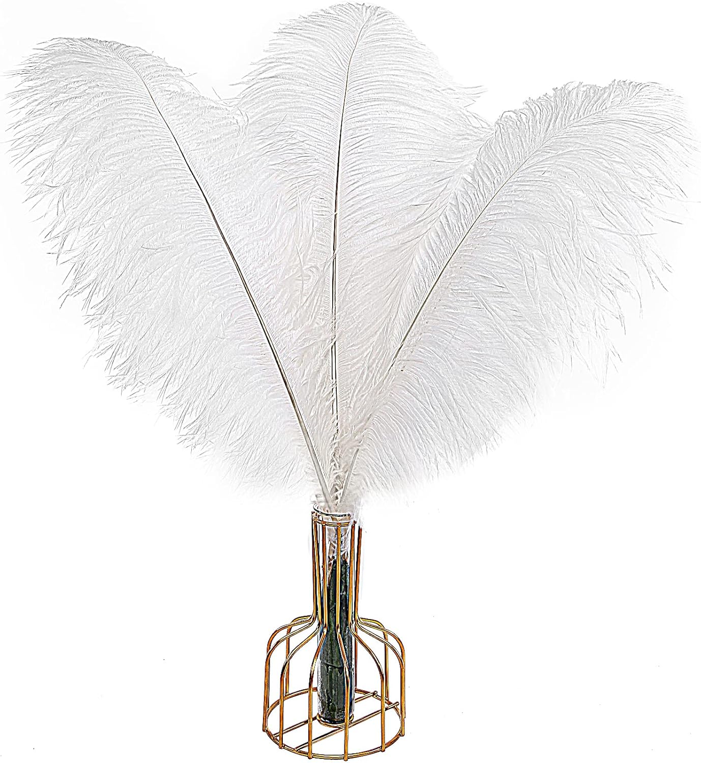 Natural White Ostrich Feathers for Wedding and Home Decor
