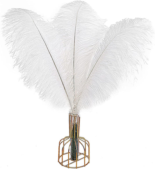 Natural White Ostrich Feathers for Wedding and Home Decor