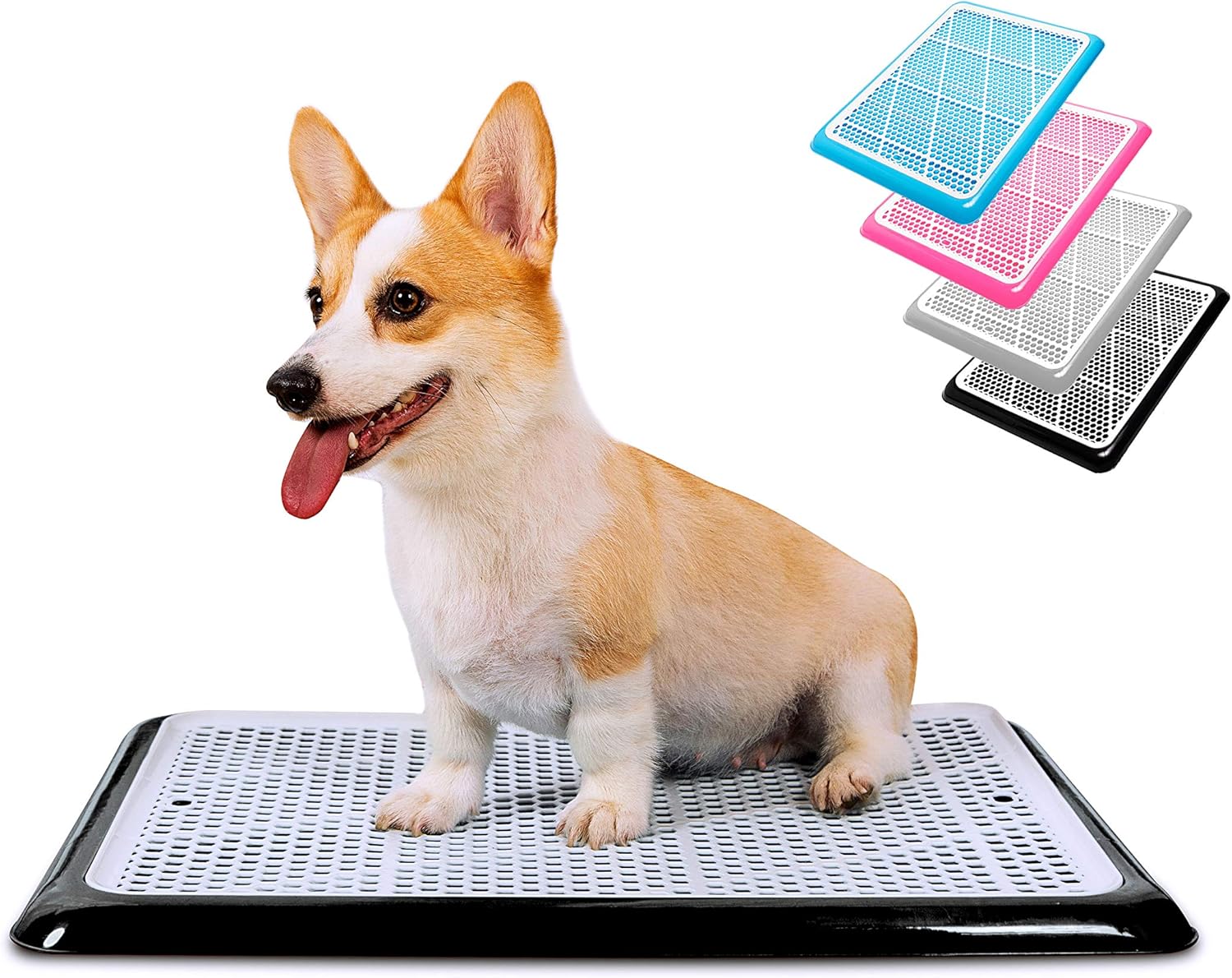 Pet Awesome Dog Potty Tray for Easy Indoor Pee Training