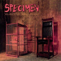 Electric Ballroom Goth Rock Album - Specimen Reunited