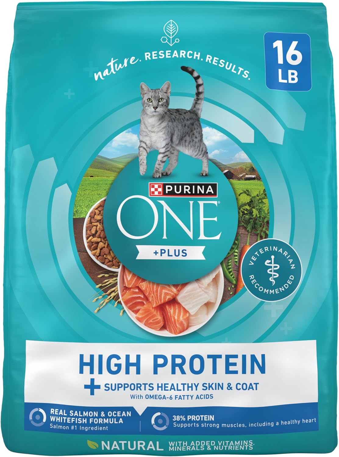 Purina ONE High Protein Cat Food for Skin and Coat Health
