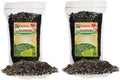 Aglaonema Potting Soil - All-Natural 10 Quart Mix for Thriving Foliage