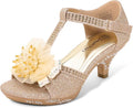 DREAM PAIRS Girls Sandals Low Heel Dress Pump Ankle T Strap Shoes