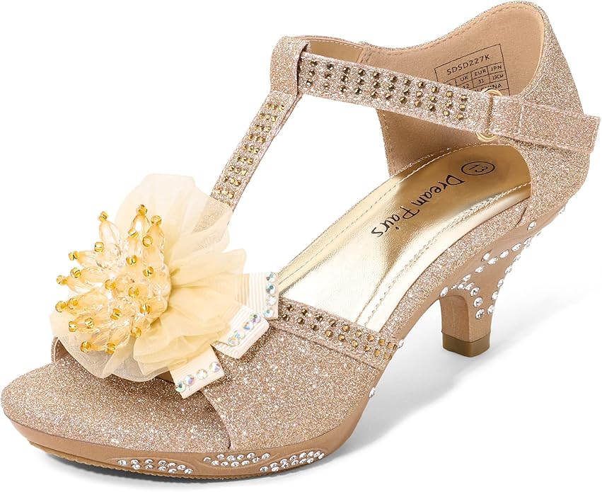 DREAM PAIRS Girls Sandals Low Heel Dress Pump Ankle T Strap Shoes