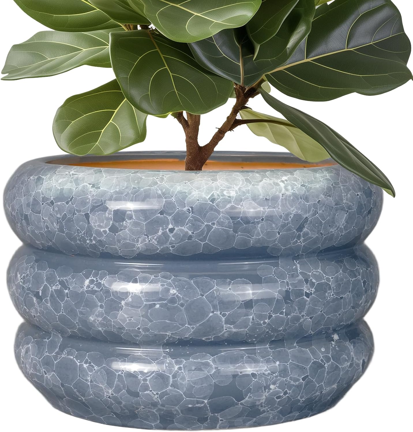 SQOWL Ceramic Planter 13.5 Inch - Modern Decorative Pot