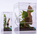 EctoTherm Jumping Spider Enclosure - Arboreal Terrarium Kit