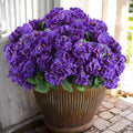 Artificial Geranium Flowers for Outdoors 12 Pcs - Realistic