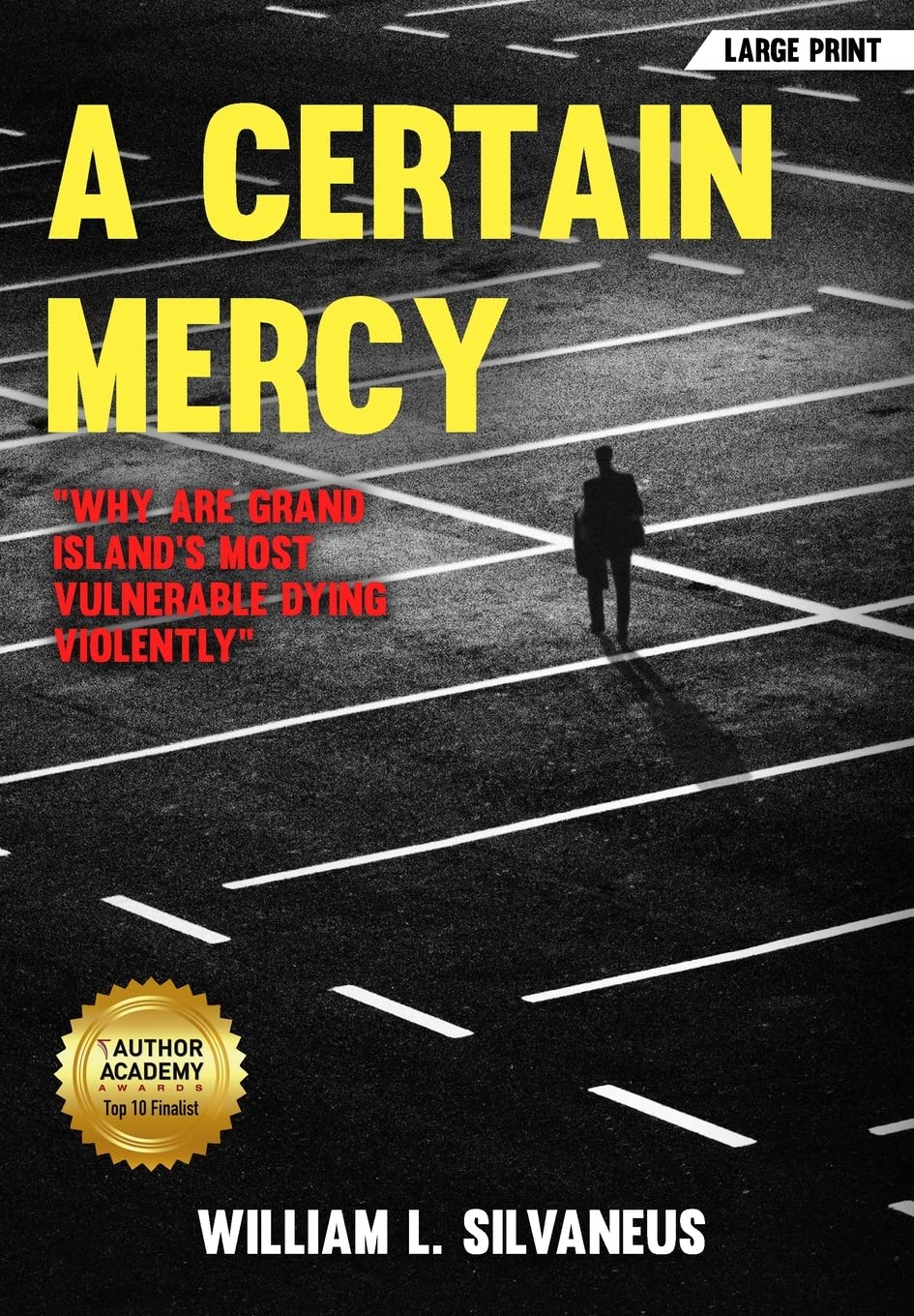 A Certain Mercy - Large Print: Understanding Grand Island's Vulnerable