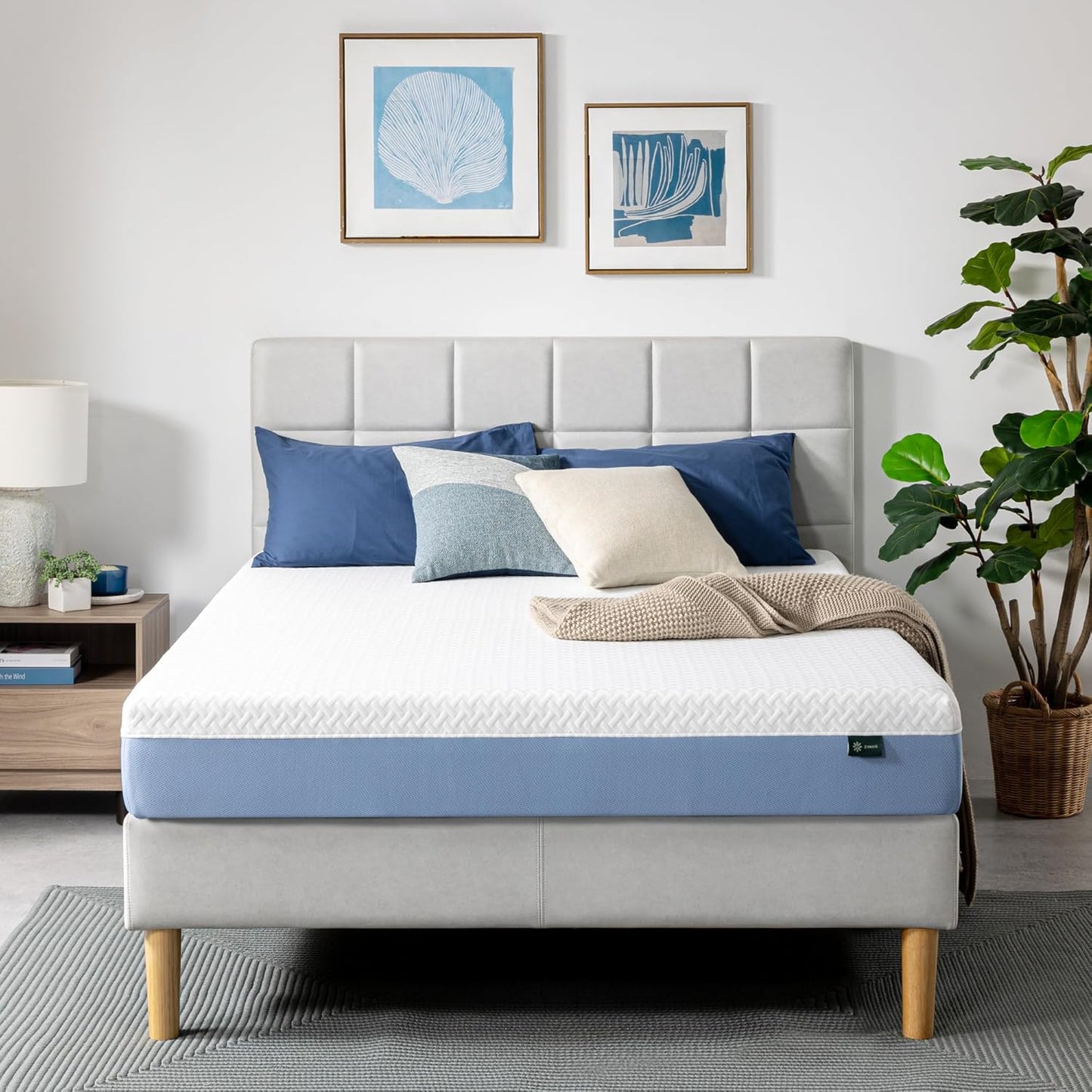 ZINUS 8 Inch Queen Cooling Essential Memory Foam Mattress Review