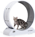 Cat Wheel Easy to Install Cat Wheels for Indoor Cats - Fitness