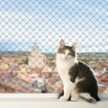 Cat Netting Balcony Safety Mesh - Anti-Fall Pet Protection