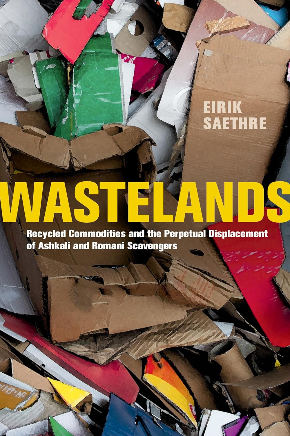 Wastelands: Recycled Commodities and the Displacement of Scavengers