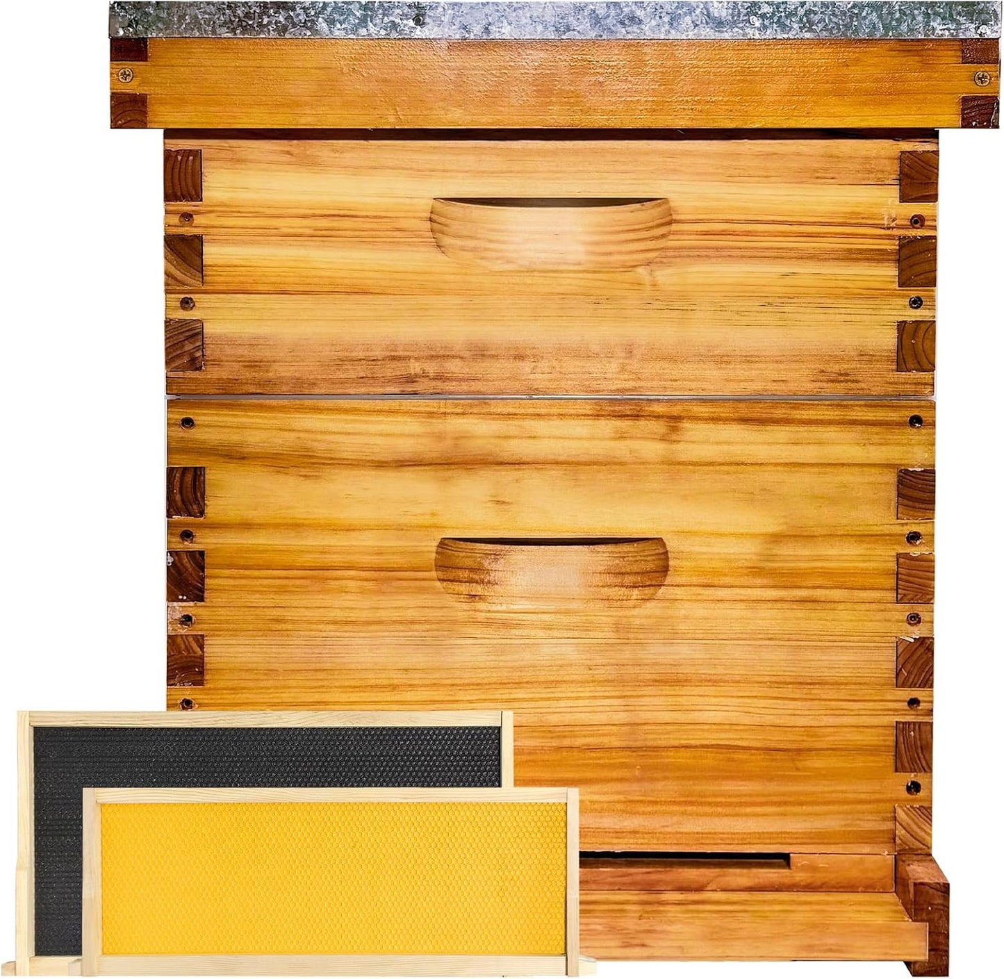 Beginner 8 Frame Bee Hive with Beeswax Coating and Frames