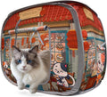 Space-Saving Cat Tent with Catnip Toy