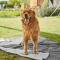 Dog Bed Cover for Pets Blanket for Couch Protection - Reversible