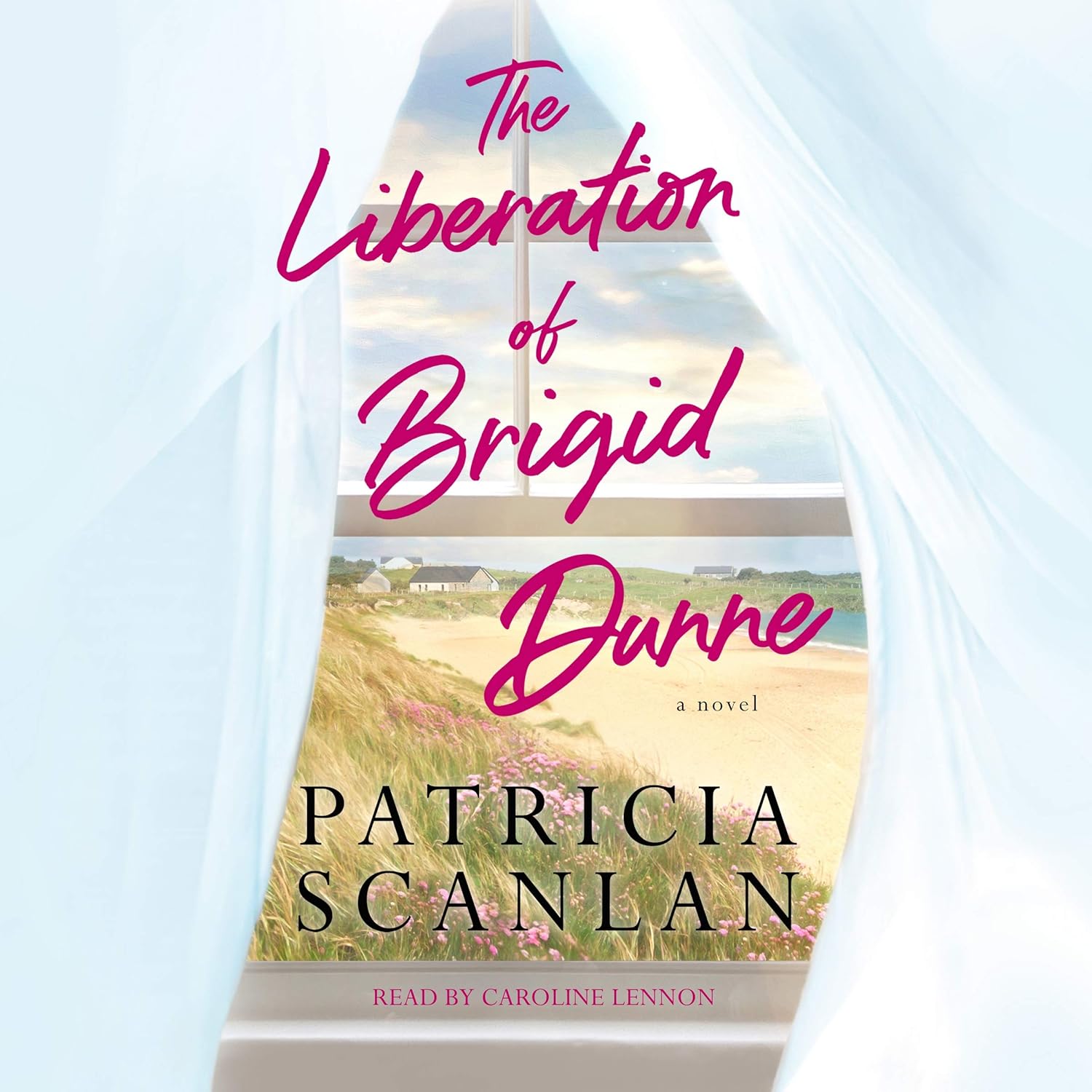 The Liberation of Brigid Dunne: A Captivating Novel Experience
