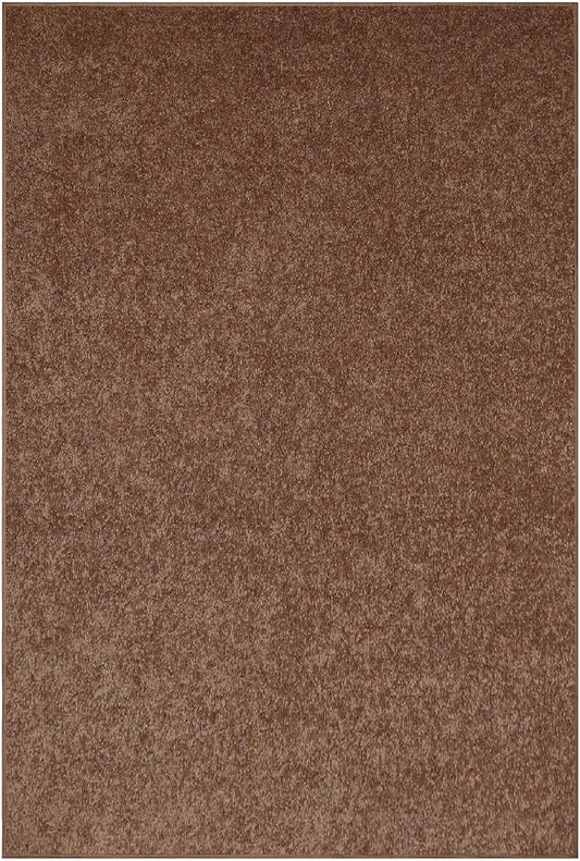 Pet Friendly Solid Color Area Rugs for Living Room & Bedroom