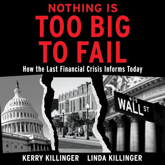 Nothing is Too Big to Fail: Insights from the Last Financial Crisis