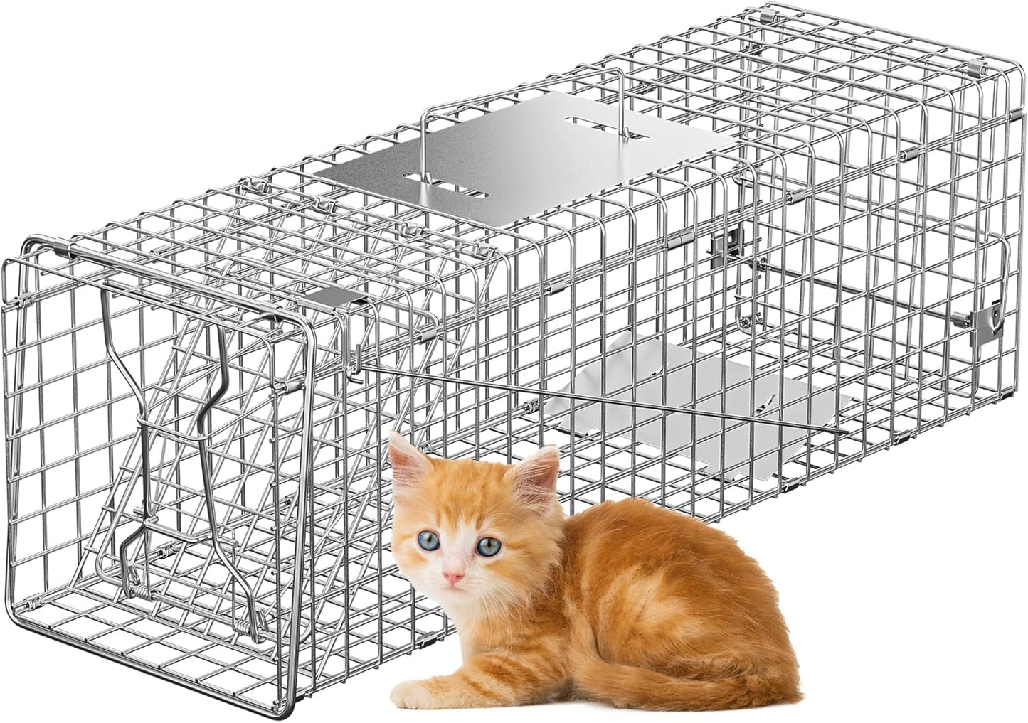 Humane Live Animal Cage Trap for Rabbits, Squirrels, and More
