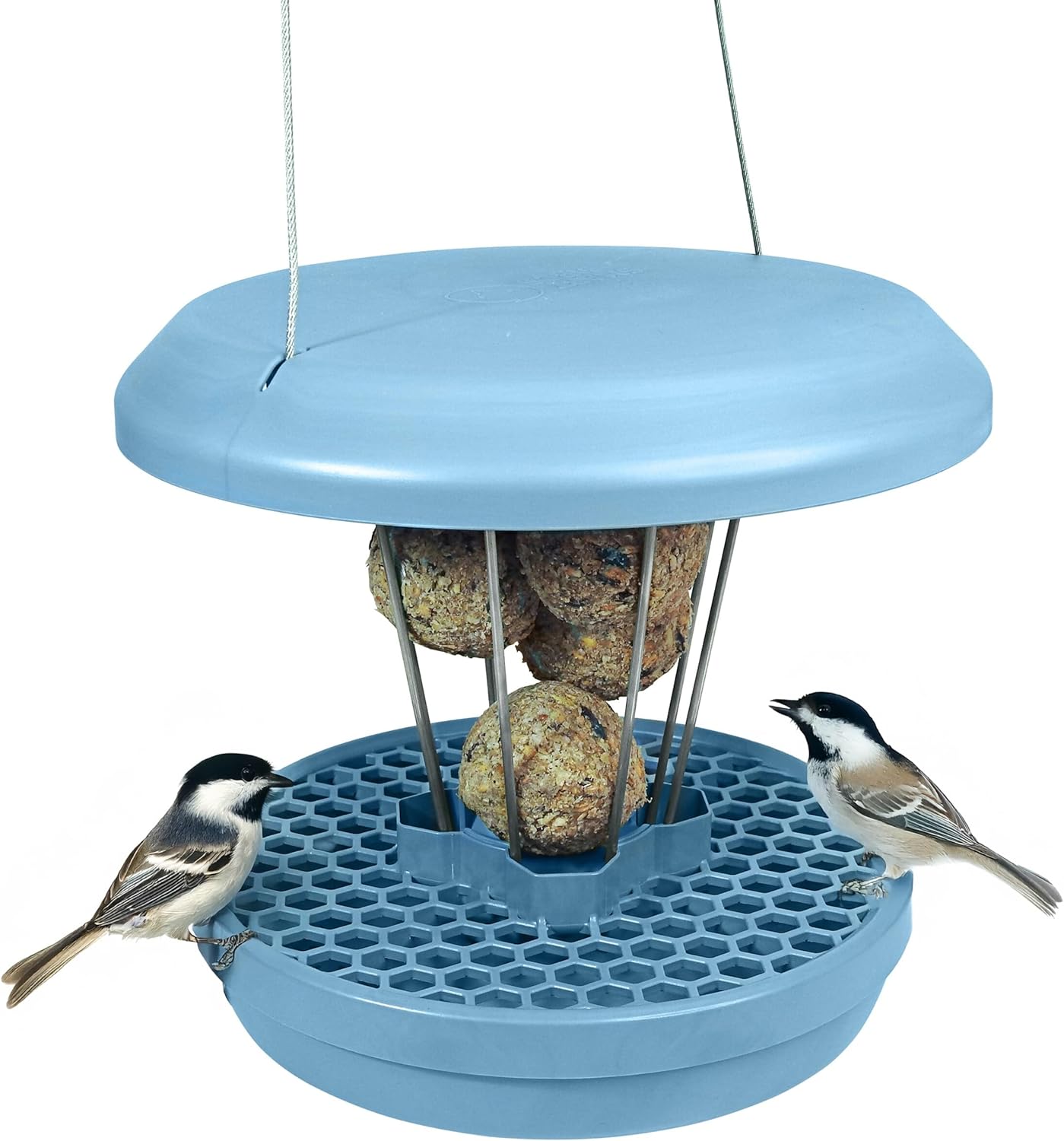 SWISSINNO No Mess Bird Feeder for Fat Balls - Reliable Design