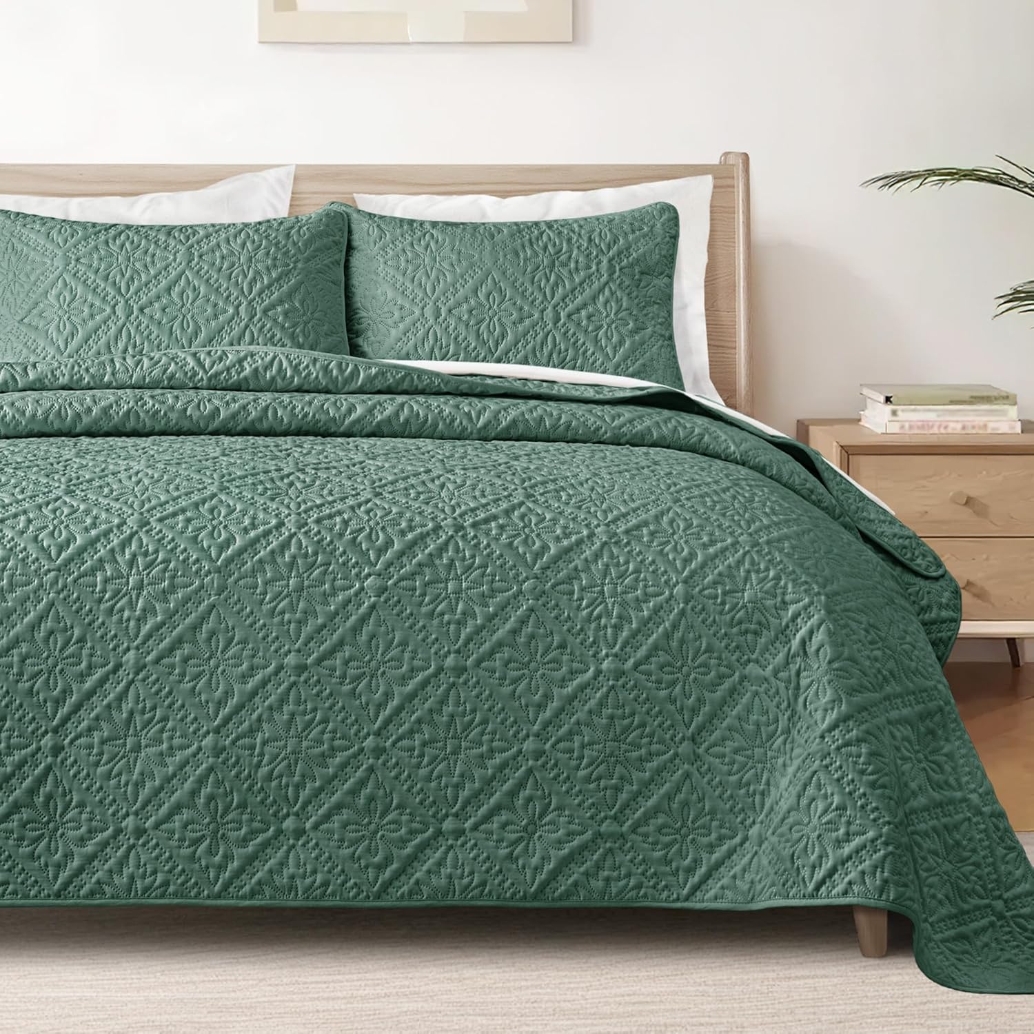 Exclusivo Mezcla Queen Quilt Bedding Set for All Seasons Comfort