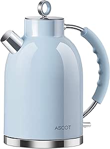 ASCOT Electric Kettle: Stylish 1.6L Stainless Steel Tea Heater