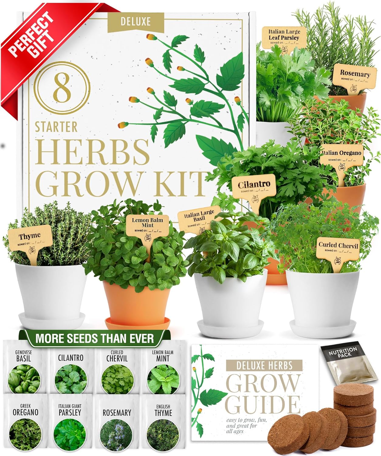 Indoor Herb Garden Kit with 8 Premium Seeds for Cooking Joy