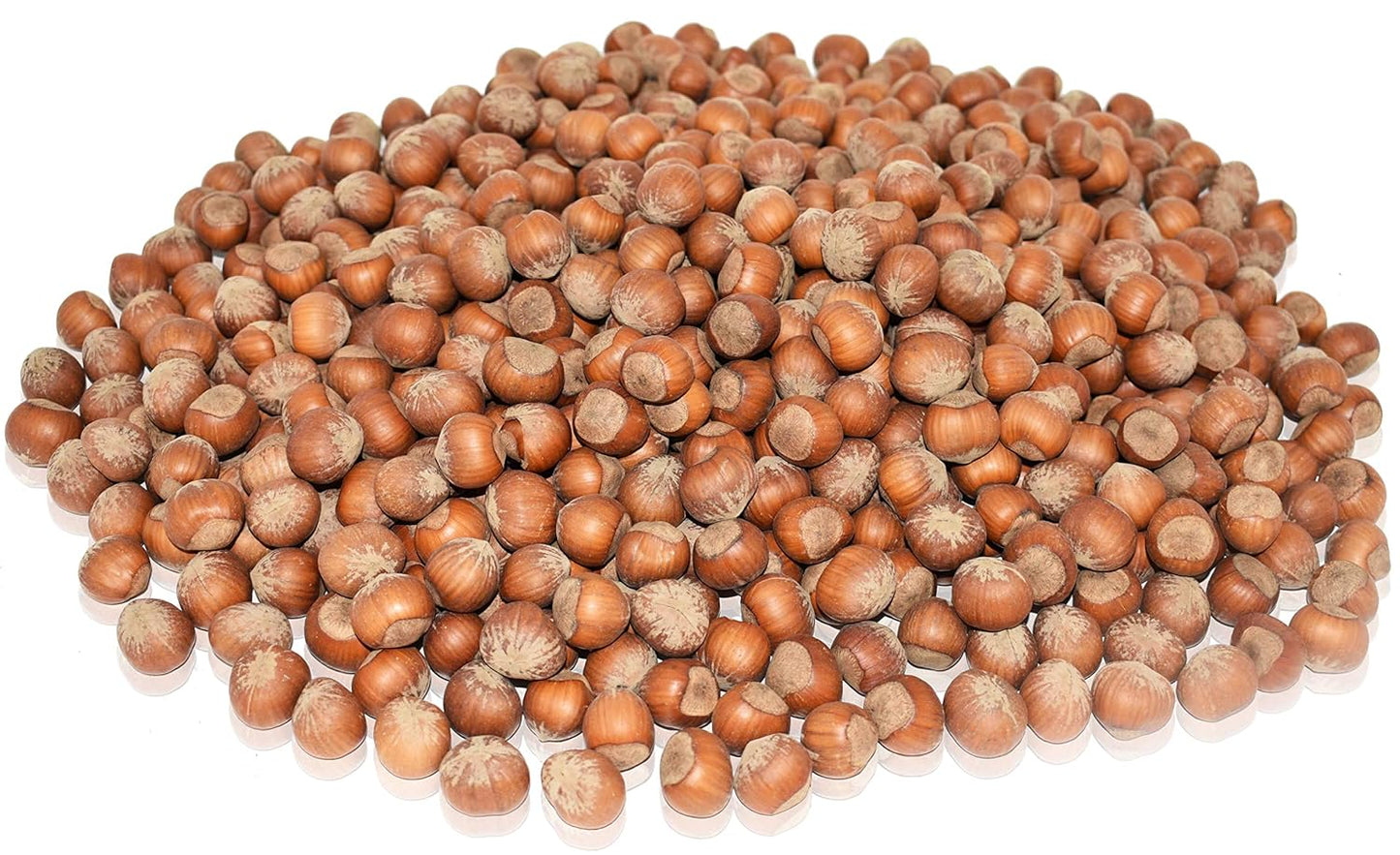 Large Oregon Hazelnuts in Shell - Heart Healthy Snack Option