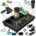 GOZILLA Small Turtle Tank Kit - Compact Starter Terrarium with Lamp