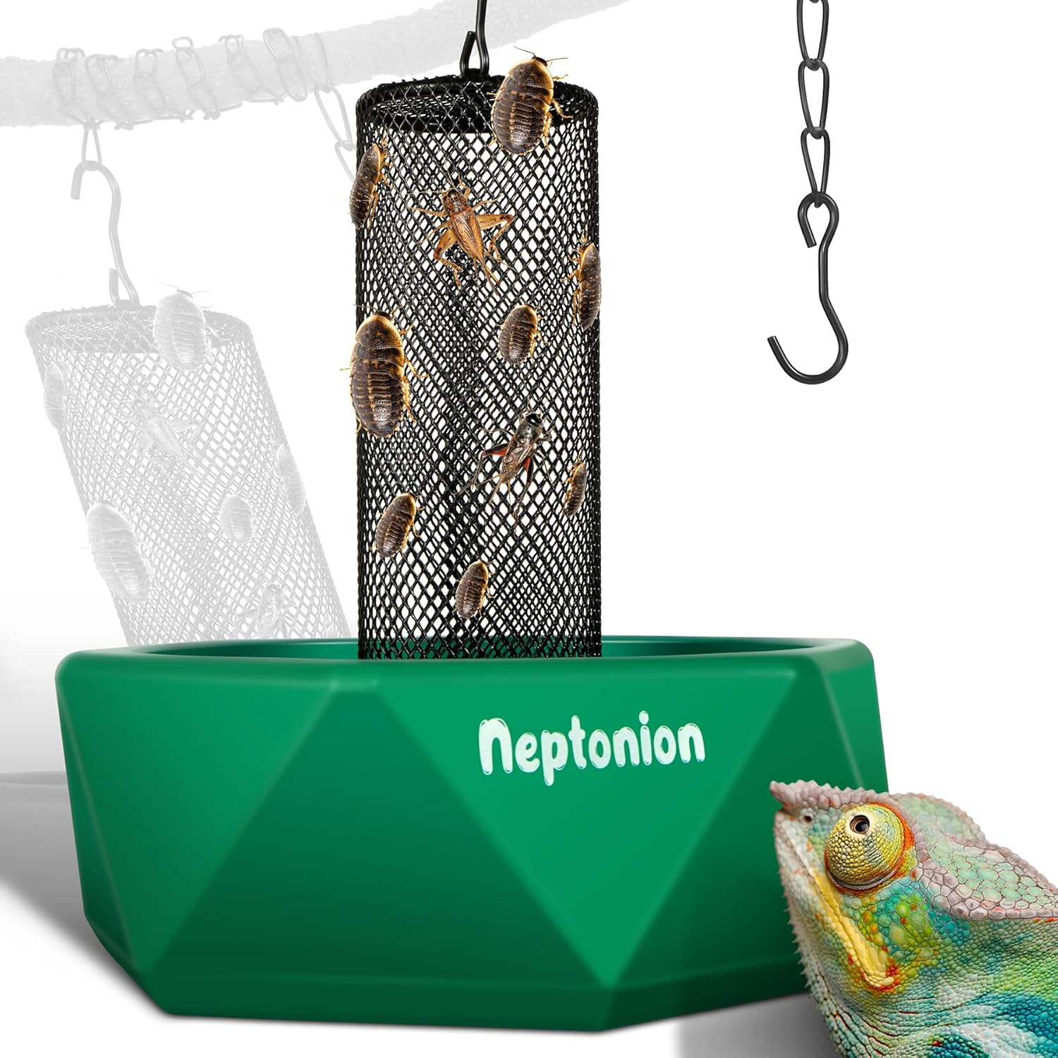 Hookable Chameleon Feeding Bowl for Lizards and Reptiles