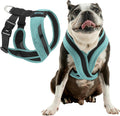 Comfort X One Dog Harness Small Seattle Blue - Head-In Security