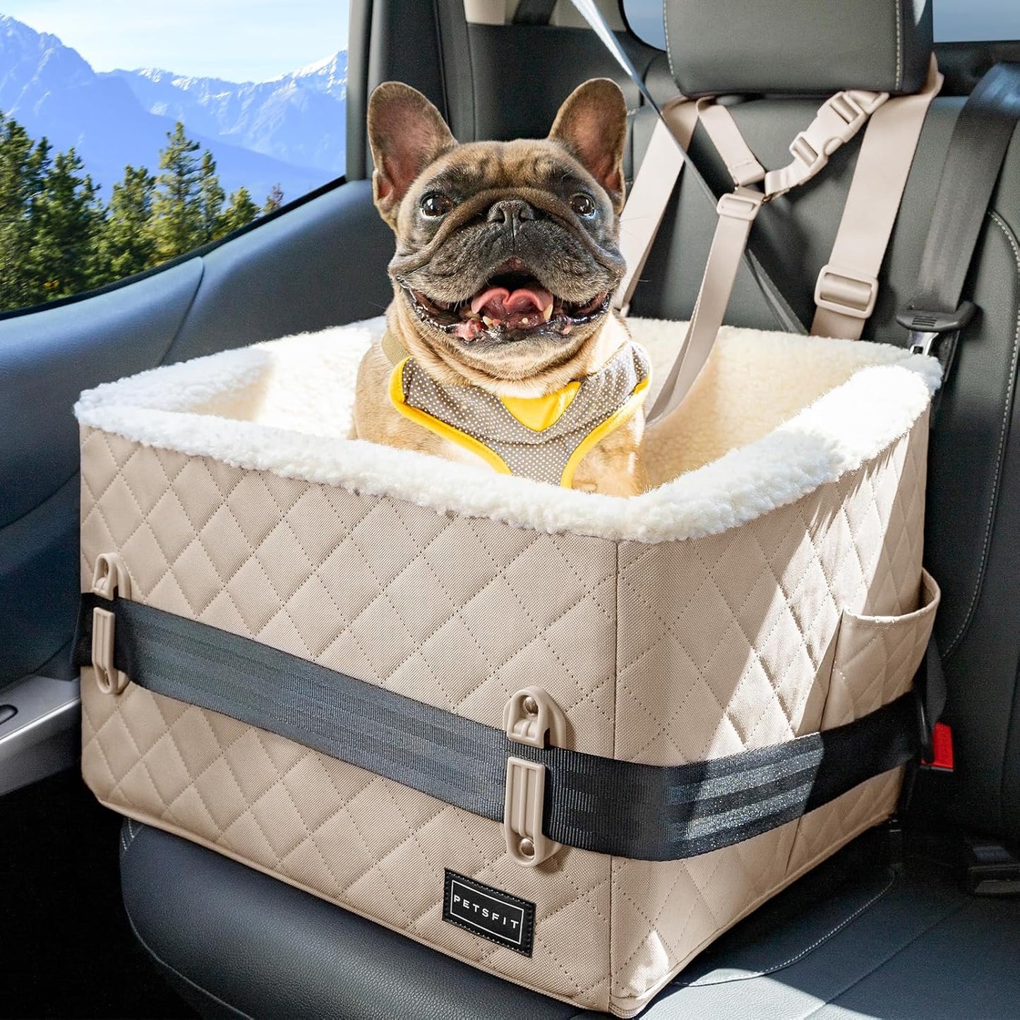 PETSFIT Small Dog Booster Car Seat for Safe Travel Comfort