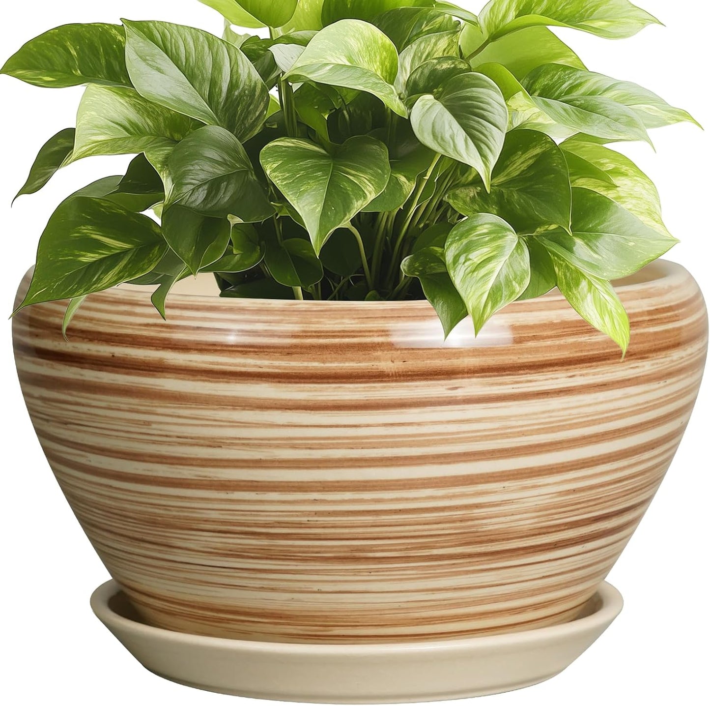 Indoor Planter 9 Inch Ceramic Pot with Drainage for Plants