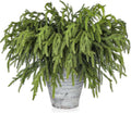 Artgar 12 Pcs Pine Branches - Real Touch 18 in Pine Stems