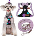 Small Dog No Pull Harness with Multifunction Leash - Lightweight Fit