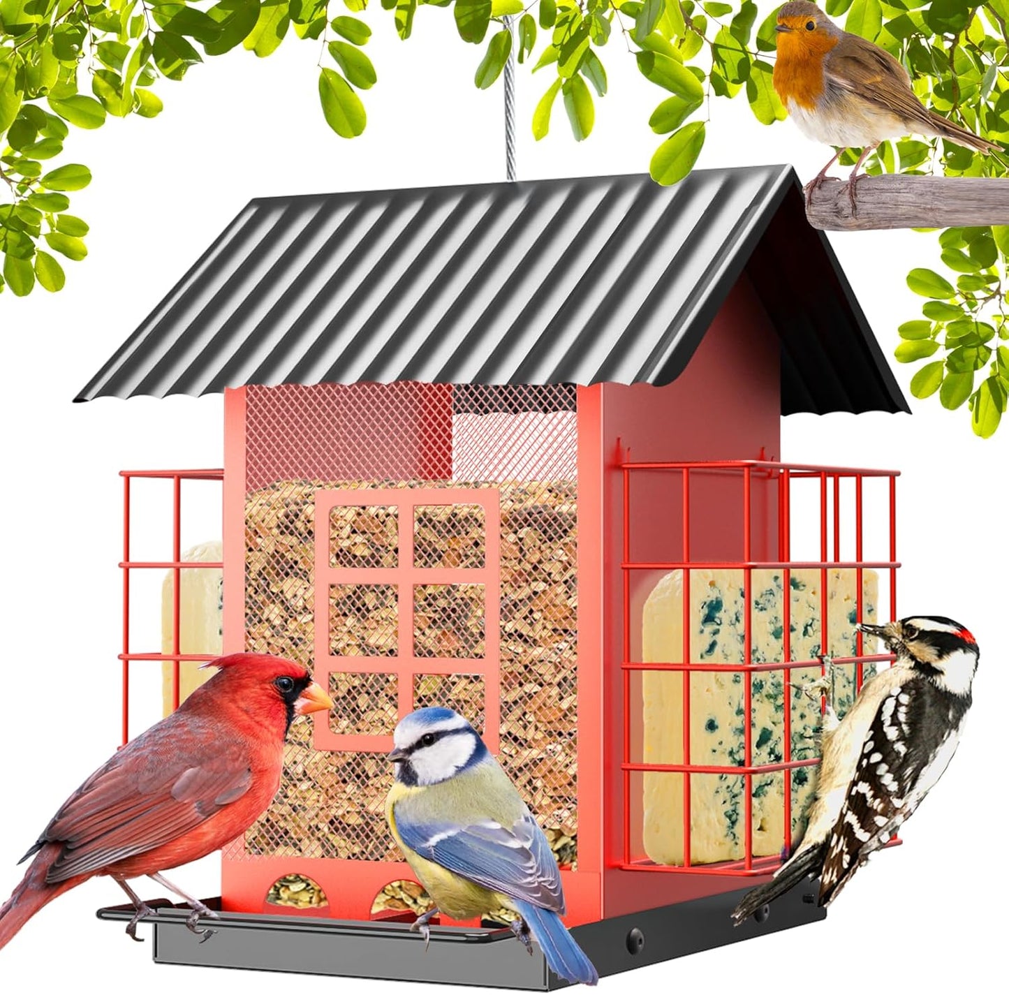 Sturdy Metal Bird Feeders for Outdoors with Double Suet Cage