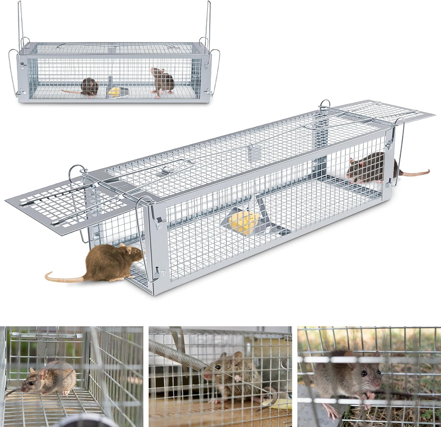 Large 2-Door Humane Rat Trap: Catch & Release