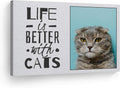Custom Photo Canvas Print 11x17 in - Personalized Cat Quote Wall Art