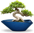 Bonsai Tree Pot Ceramic Planter 12 in Blue - Durable Indoor/Outdoor
