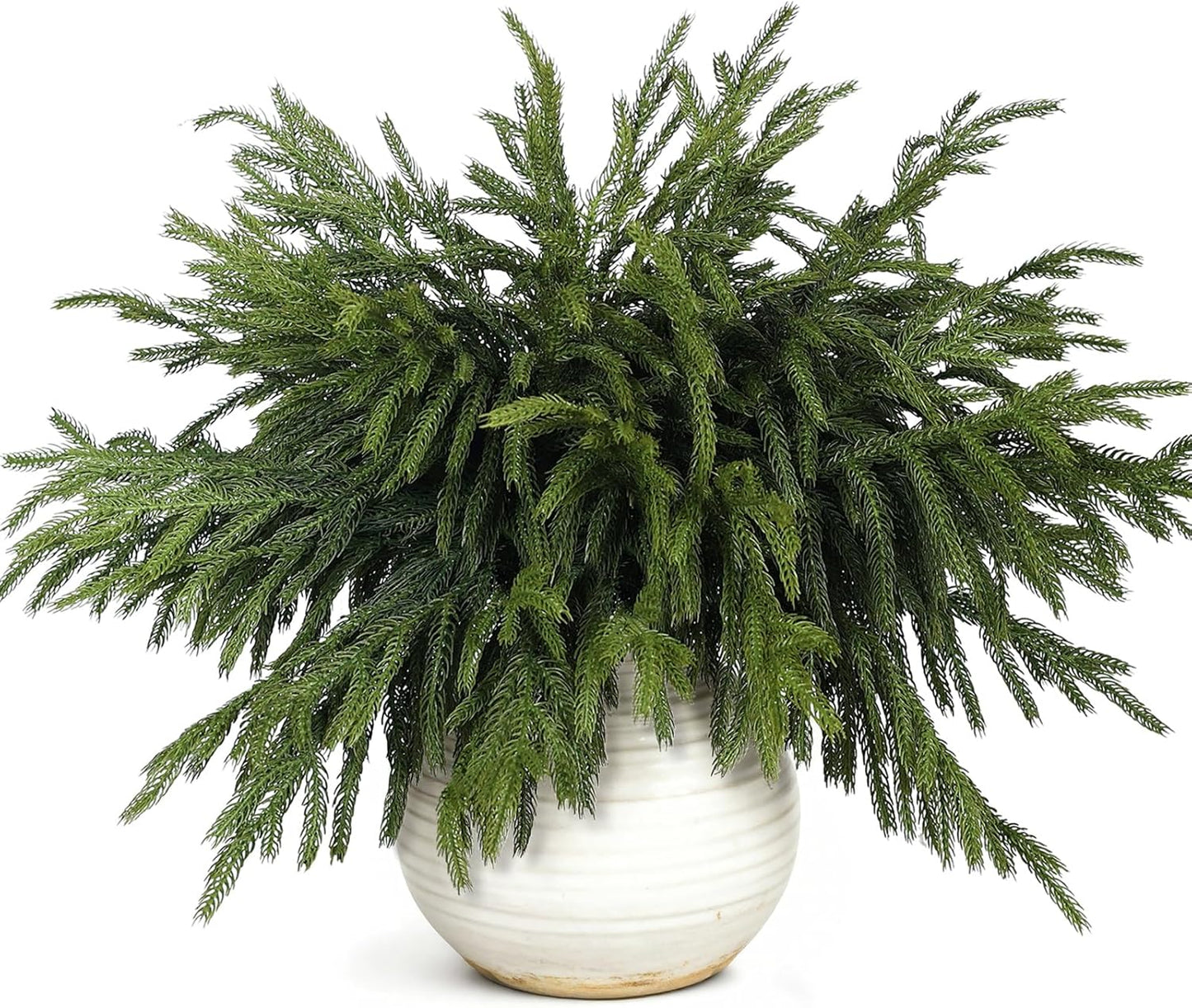 80 Pcs Norfolk Pine Branches for Christmas Decor and DIY Crafts