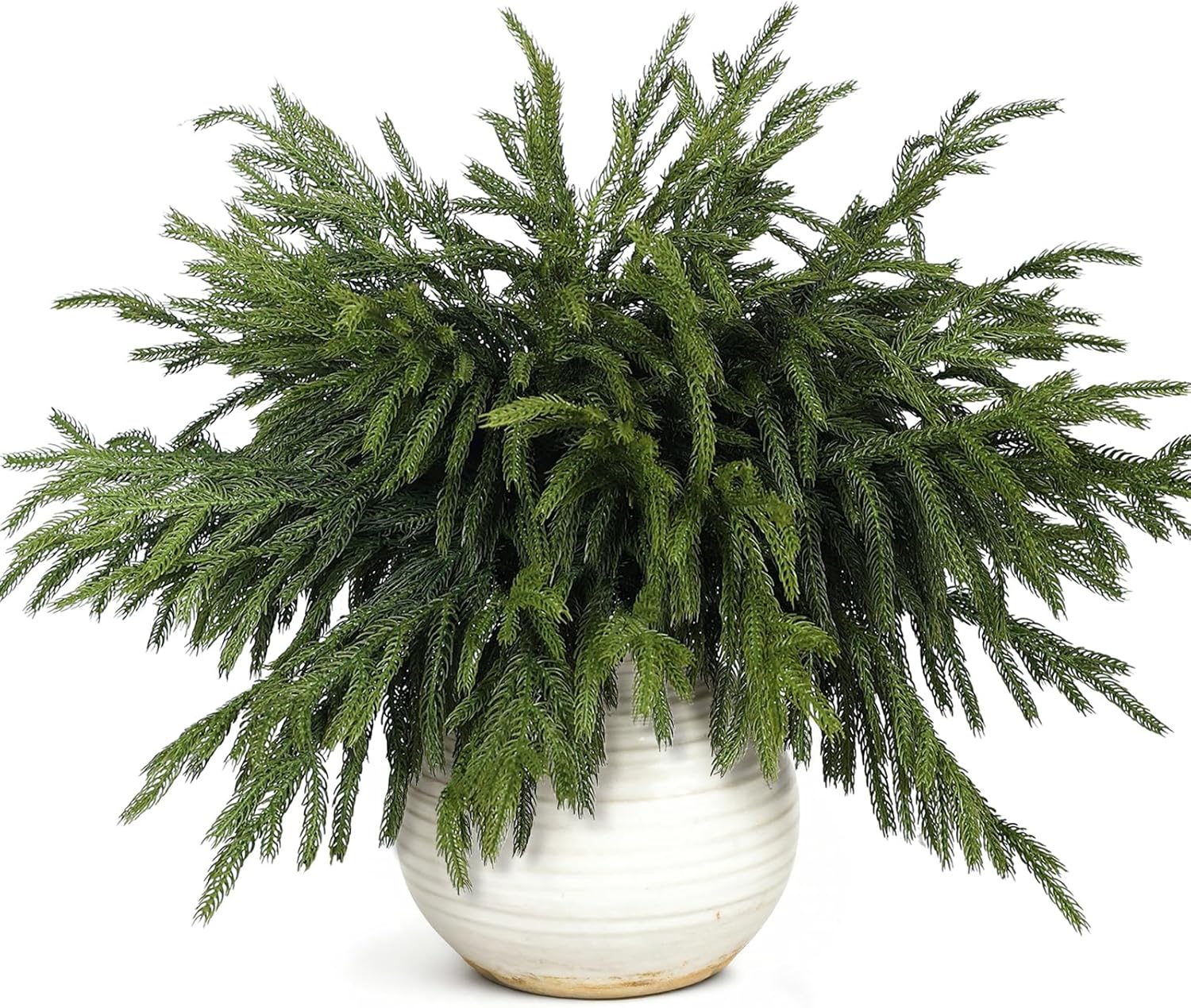 80 Pcs Norfolk Pine Branches for Christmas Decor and DIY Crafts