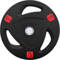 Signature Fitness Vinyl Coated Cast Iron Weight Plate - Durable