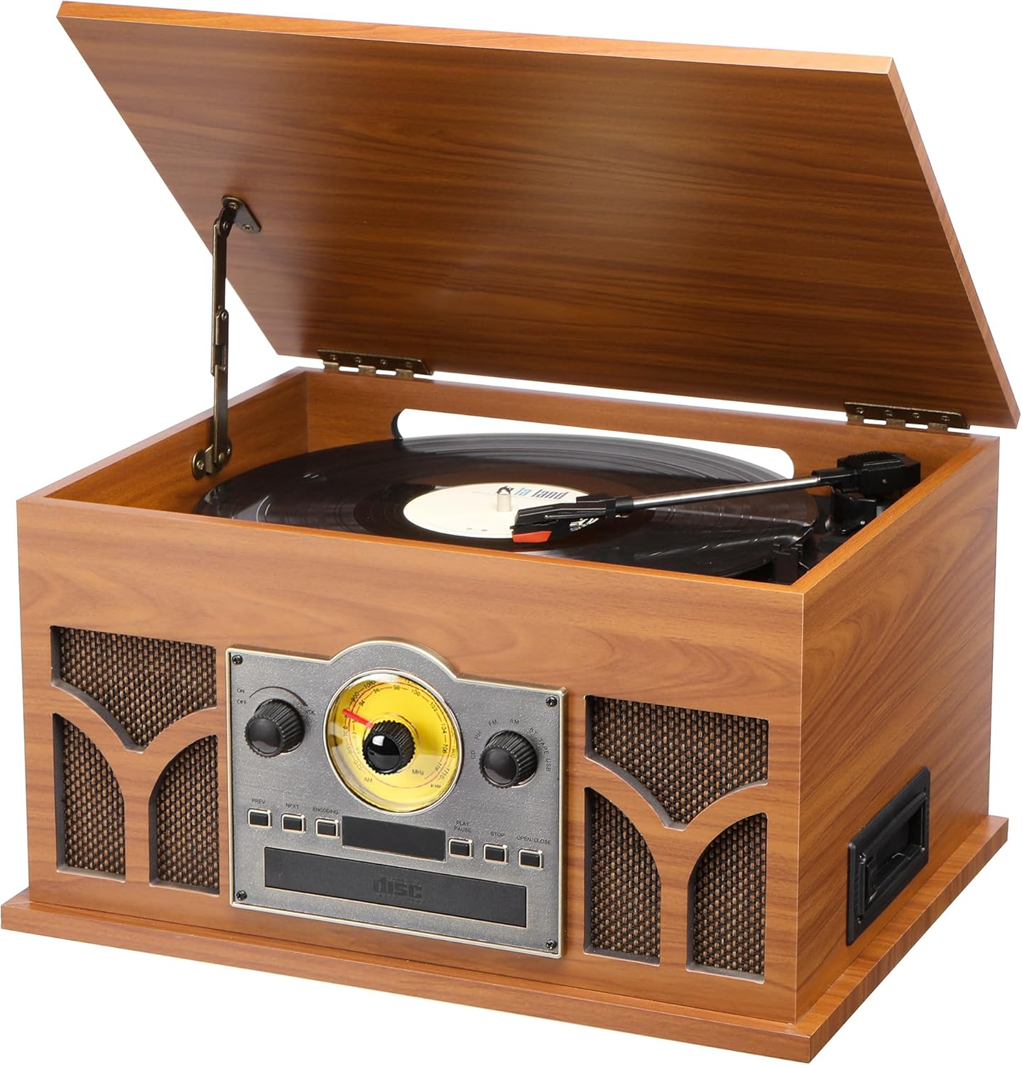 10-in-1 Record Player with Built-in Speakers for Vinyl Lovers