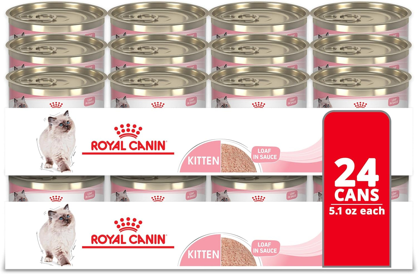 Royal Canin Kitten Loaf in Sauce Cat Food for Healthy Growth