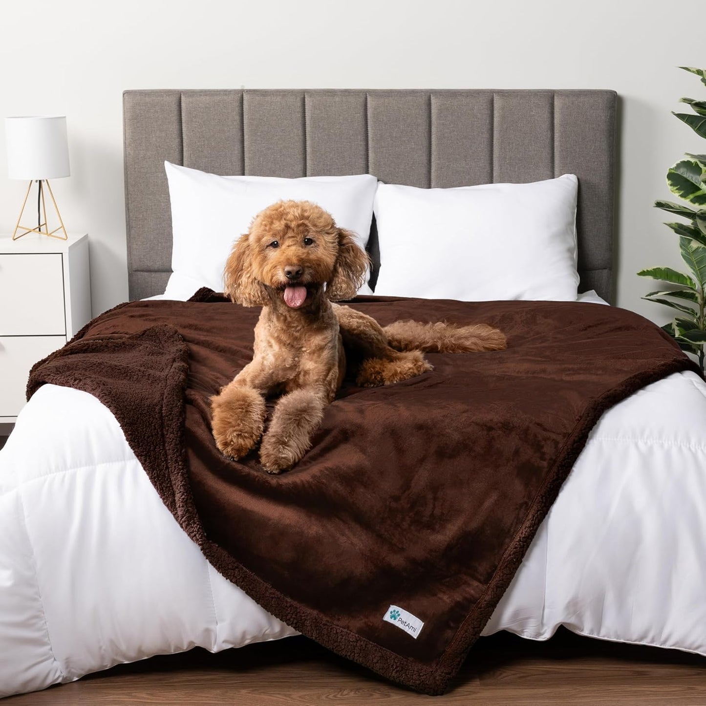 PetAmi Waterproof Dog Blanket for Queen Bed and Couch Cover