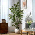 Artificial Ficus Tree Indoor 6ft Faux Potted Tree - Realistic Silk